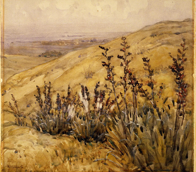 Flax Gully, Cashmere
