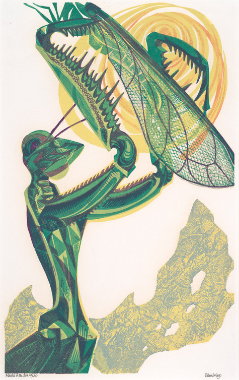 Eileen Mayo Mantis in the Sun 1968. Relief print. Collection of Christchurch Art Gallery Te Puna o Waiwhetū, purchased 2008