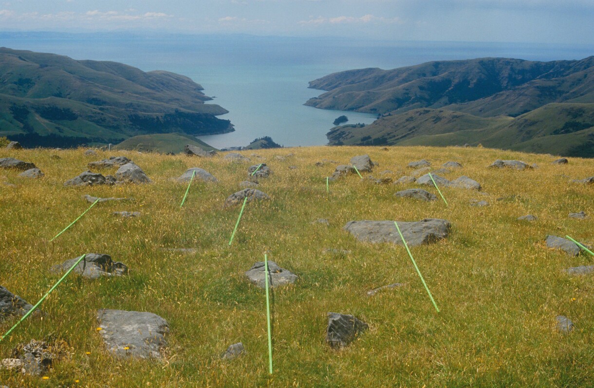 Pauline Rhodes – Land Extensums, Banks Peninsula