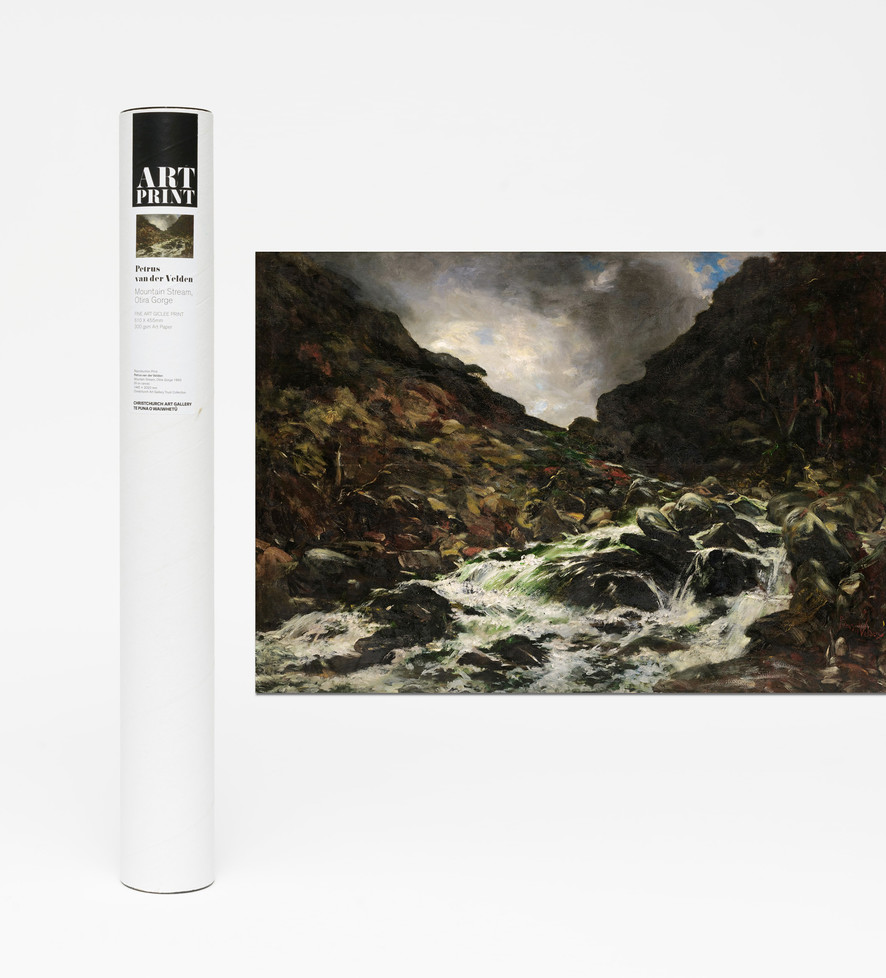 Mountain Stream, Otira Gorge – Poster Print