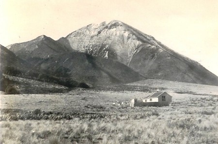 100 years of the Cass field station