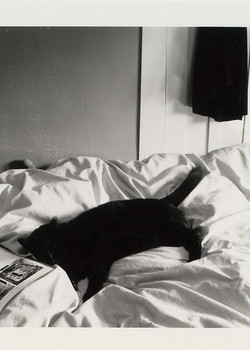 Marie Shannon The Pursuit of Cosiness 1986. Photograph. Collection of Christchurch Art Gallery Te Puna o Waiwhetū, presented by the artist. Reproduced with permission
