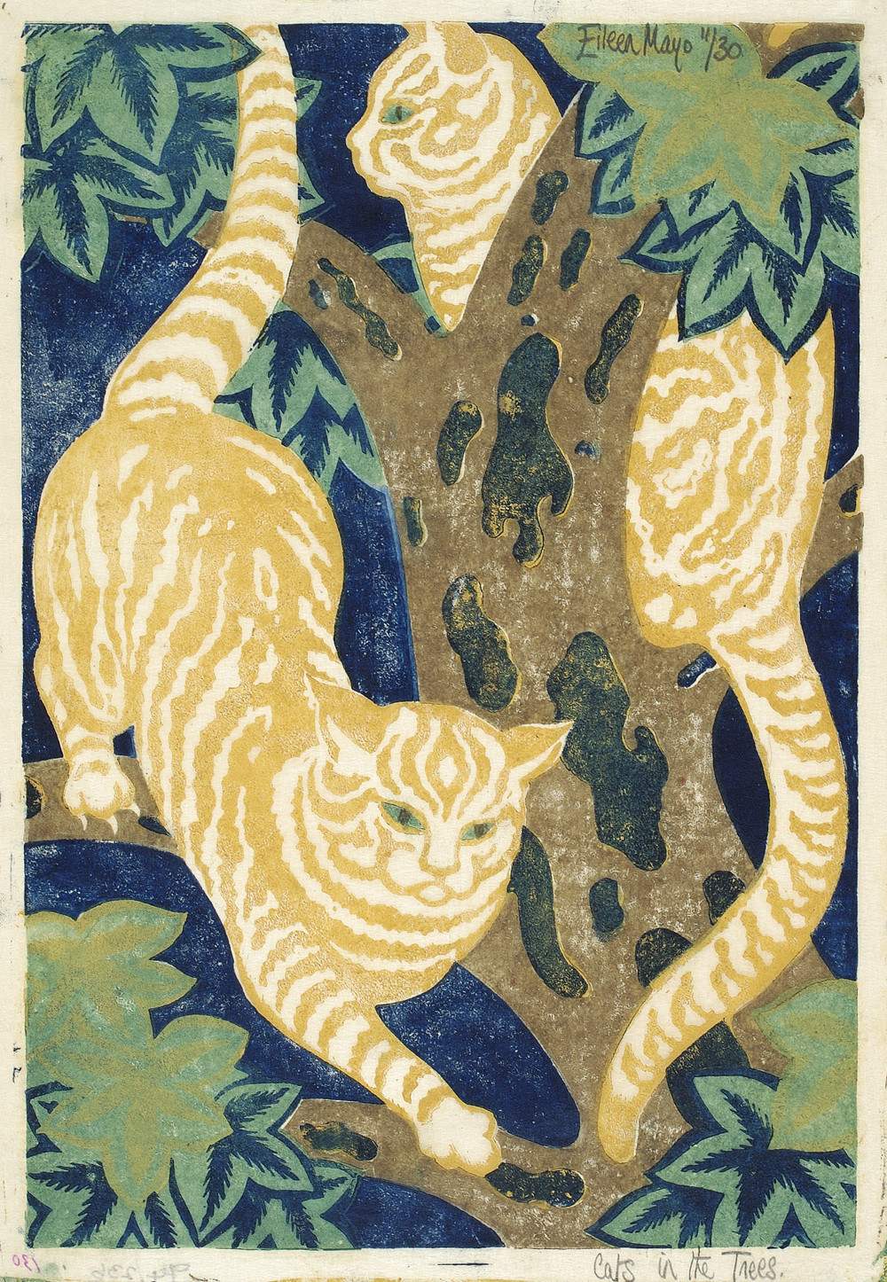Cats in the Trees by Eileen Mayo