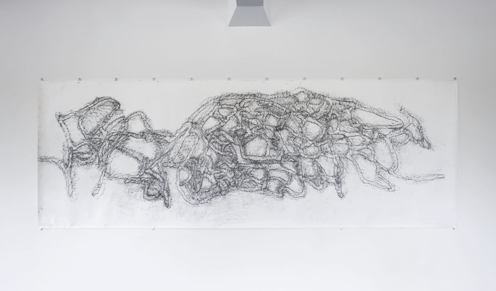 Katie Thomas Westenra Terrace 2011. Graphite rubbing on paper. Courtesy of the artist