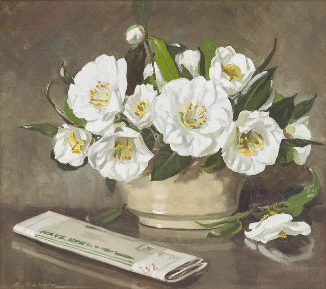From My Garden—White Camellias