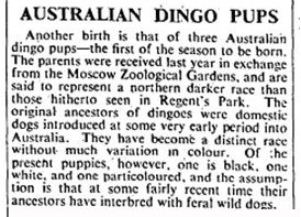 The Times, Saturday, 5 March 1938, p.9