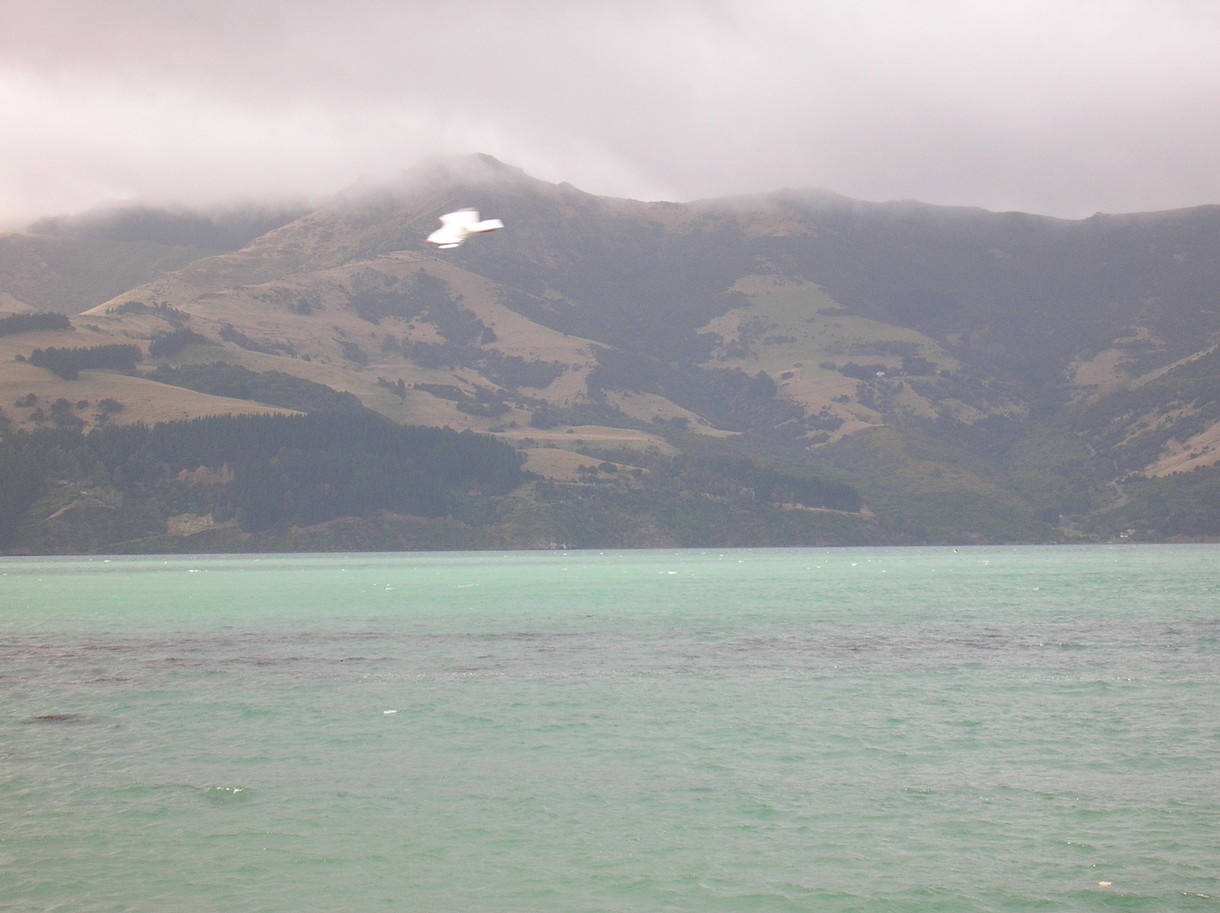 Wainui - to the west of the long harbour