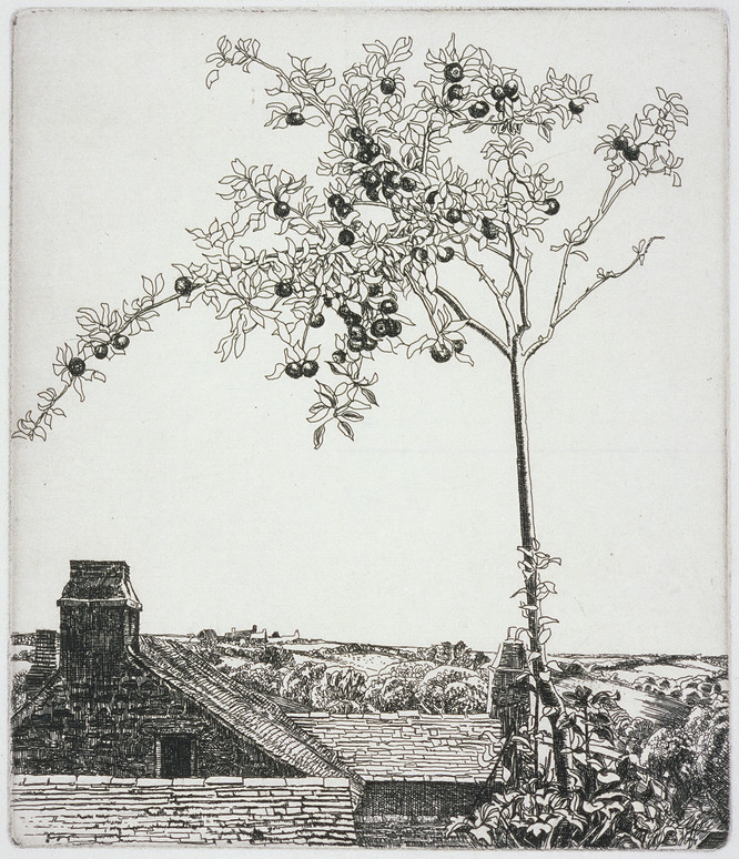 Eleanor Hughes Apple Tree c.1930. Dry point etching. Collection of Christchurch Art Gallery Te Puna o Waiwhetū, purchased 2001.